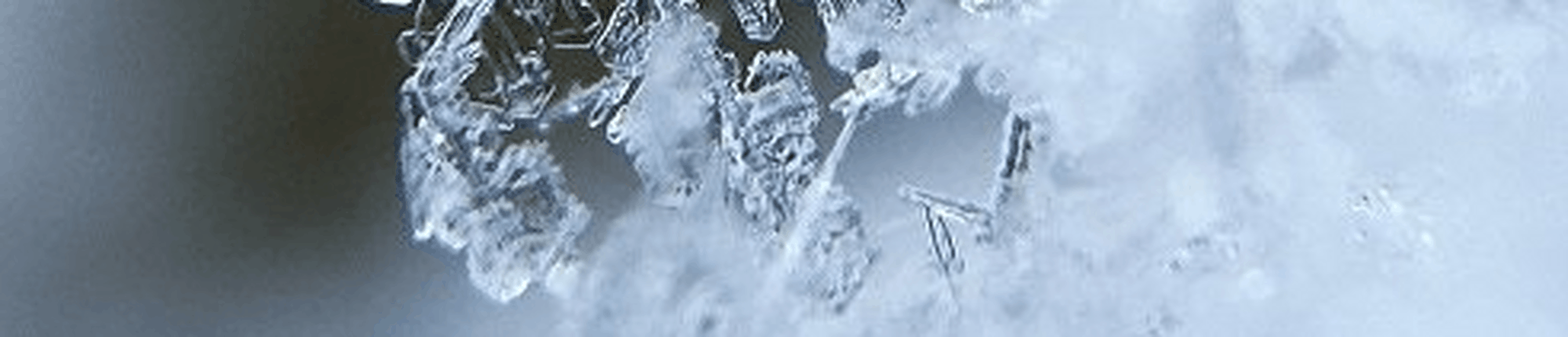 flocon_de_neige.PNG